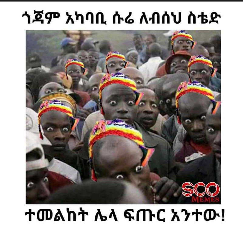 ጎጃም አካባቢ ሱሬ ለብሰህ ስቴድ ተመልከት ሌላ ፍጡር አንተው! VP wna, fre: ANNU nee oe ,; +ODAnT oA GAC AUTO!